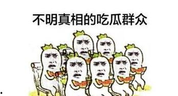 吃瓜群众网络新词,网络新词背后的社会现象解析